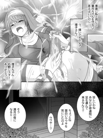 [Sakura Hiiro] Full Moon Sister 3 Fhentai - Page 27