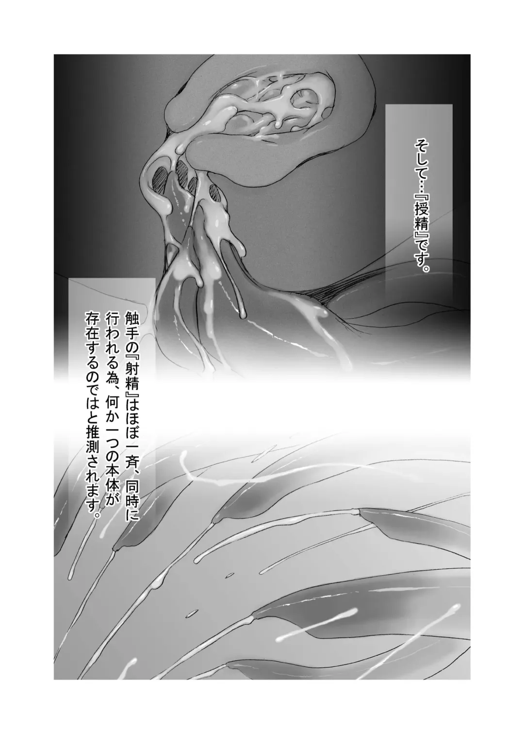 [Teruki Kuma] Hanshoku 2 ~ Karibara ~ Fhentai - Page 33