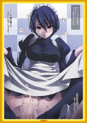 [Cyocyo] PeruTen Fhentai - Page 14