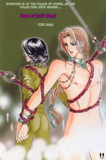 [Tori Maia] Hoshi no Yakata Colour Pages Special Fhentai - Page 25