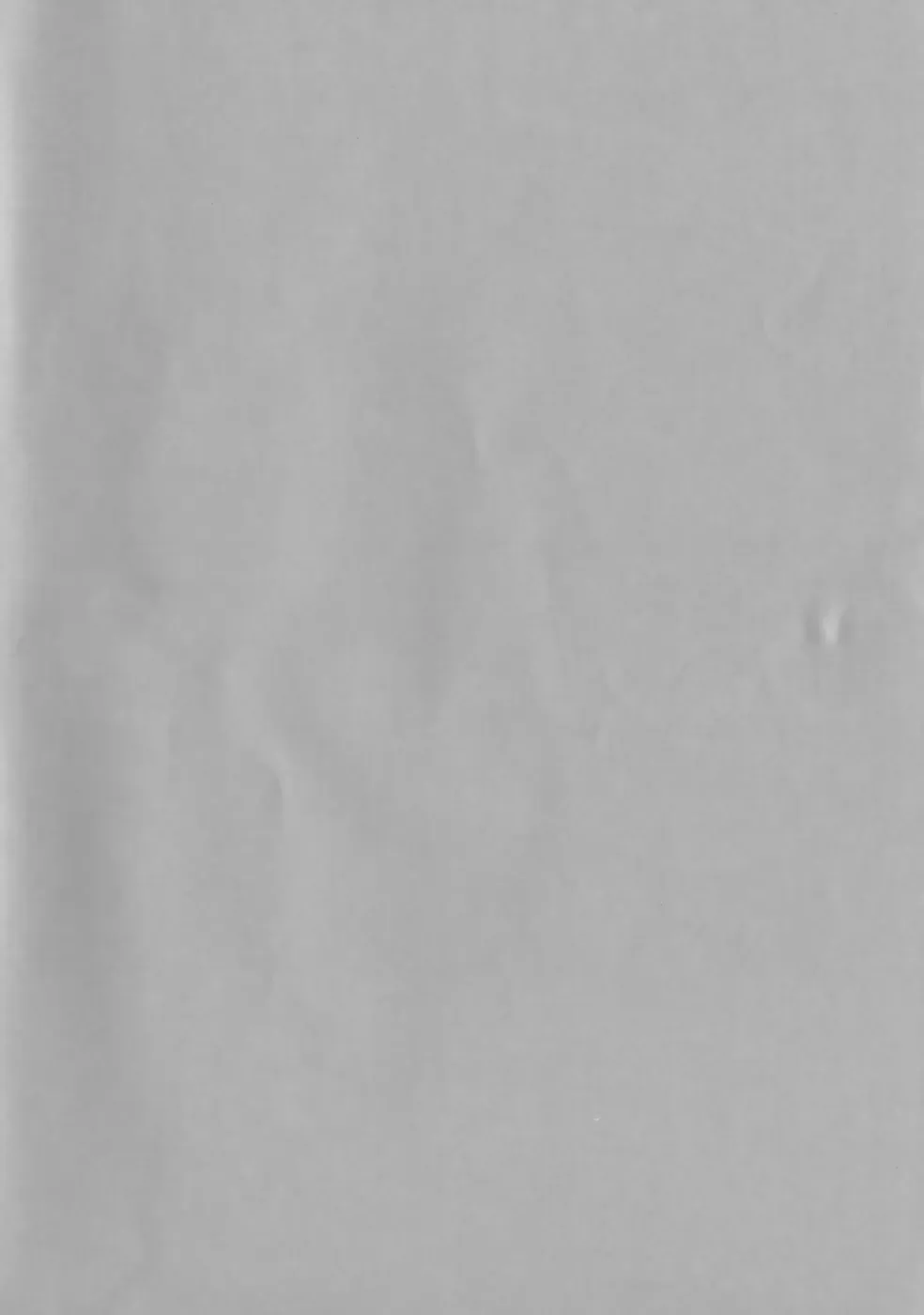 [Faith] EROGURO Fhentai - Page 5