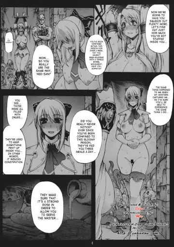 [Bontenkarasu] Decadence Soul 2 Fhentai - Page 3