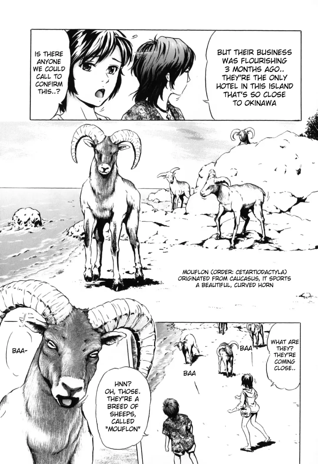[Ichinose Tsuzuki] Nangoku no Mouflon | Mouflon of the South Fhentai - Page 3