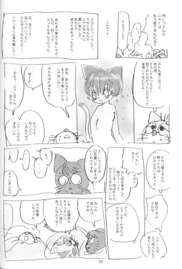 [Sanzui] Tent de Nyanda Raper Fhentai - Page 29