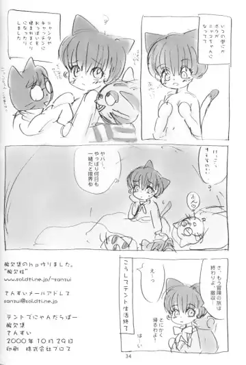 [Sanzui] Tent de Nyanda Raper Fhentai - Page 33