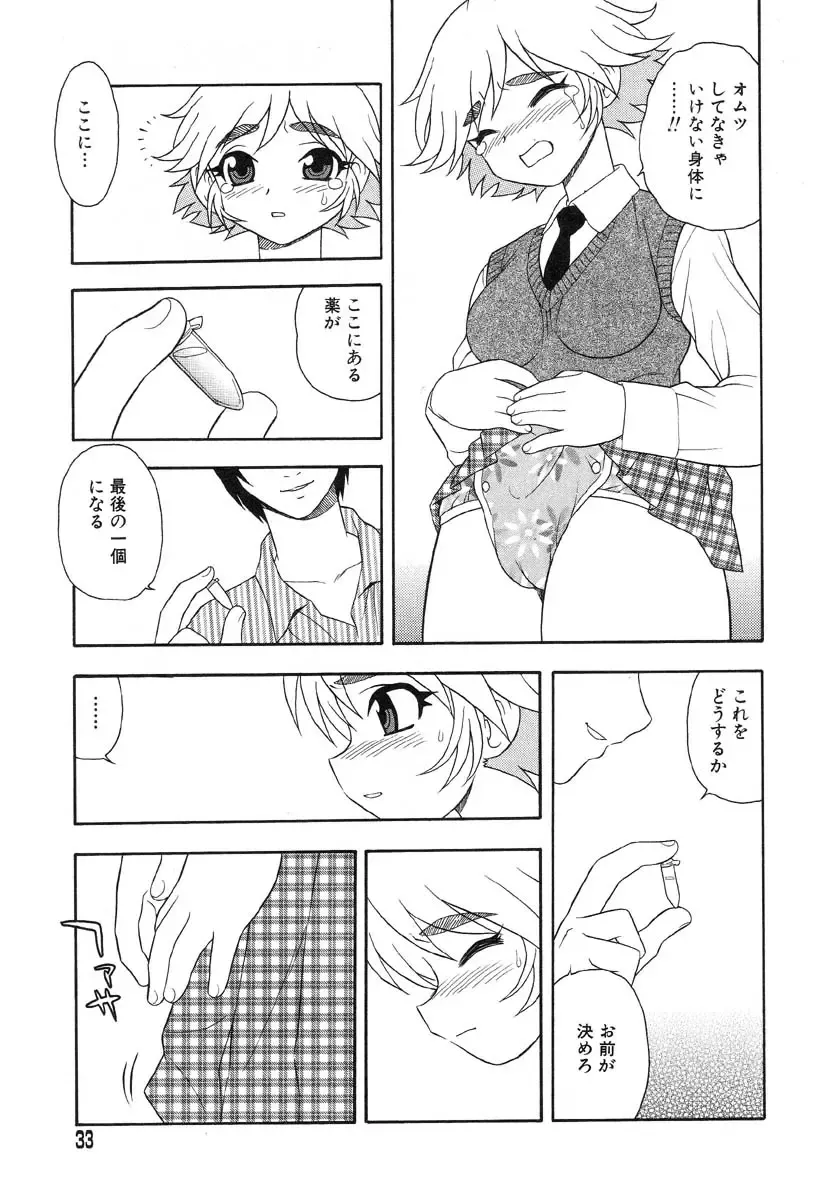 Flamingo R Vol. 03 Fhentai - Page 36