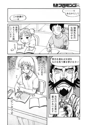 Flamingo R Vol. 03 Fhentai - Page 17