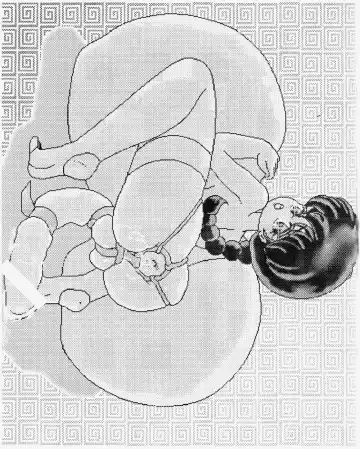 Hanjuuryoku XII Fhentai - Page 52