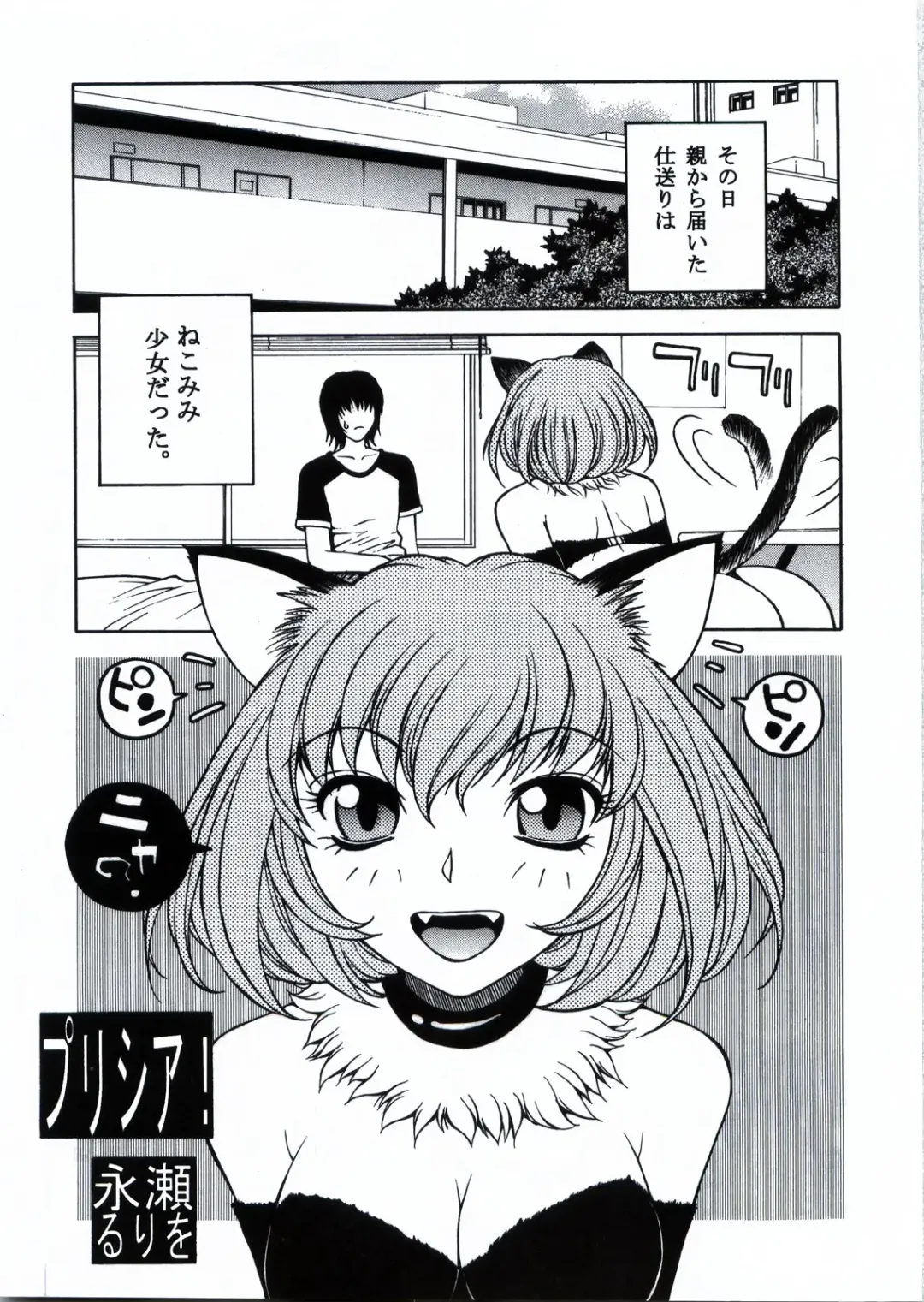 [Coma - Nagase Rurio - Okawari] Custom 1 Nekomimi Custom Fhentai - Page 5