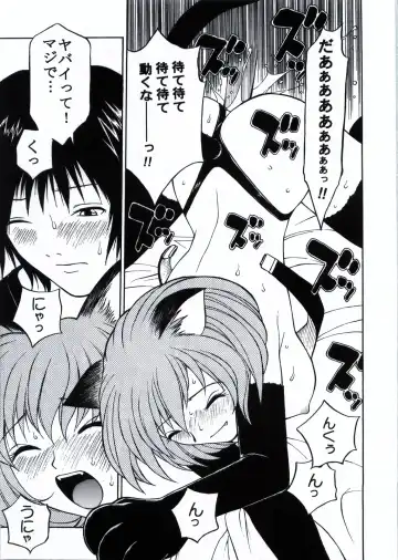 [Coma - Nagase Rurio - Okawari] Custom 1 Nekomimi Custom Fhentai - Page 13