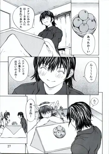 [Coma - Nagase Rurio - Okawari] Custom 1 Nekomimi Custom Fhentai - Page 27