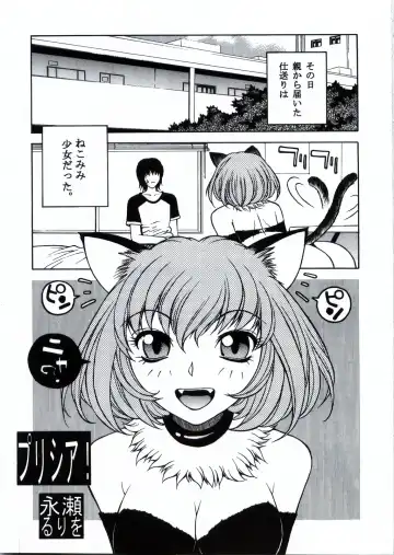 [Coma - Nagase Rurio - Okawari] Custom 1 Nekomimi Custom Fhentai - Page 5