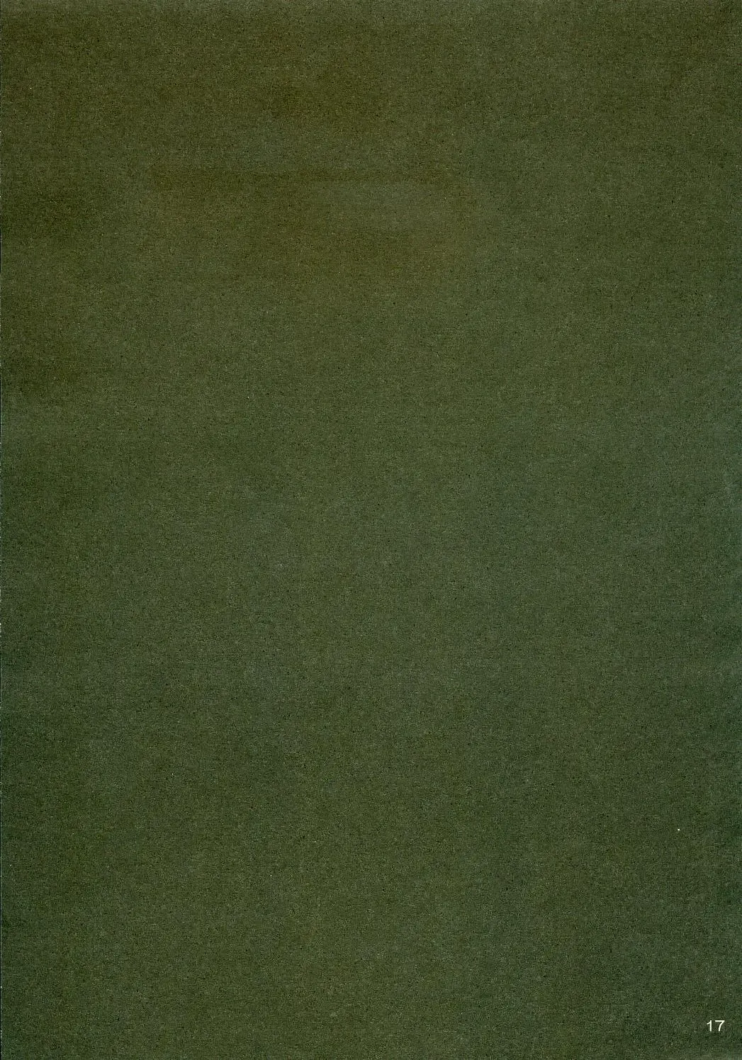 [Naruse Mamoru - Yuuki Hagure] ISLAND x ISLAND Fhentai - Page 16