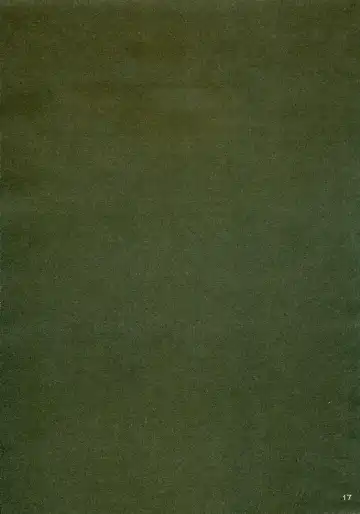 [Naruse Mamoru - Yuuki Hagure] ISLAND x ISLAND Fhentai - Page 16