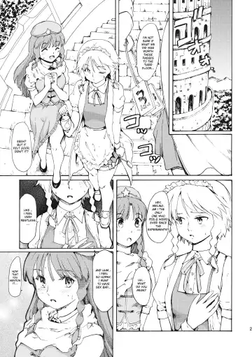 [Fujiwara Shunichi] Touhou Ukiyo Emaki Bishou Knife EXPANSION | Smiling Knife EXPANSION Fhentai - Page 25