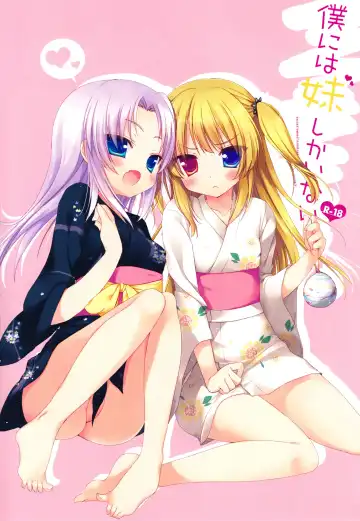 [Ichiri] Boku niwa Imouto Shika Inai (decensored) Fhentai - Page 4