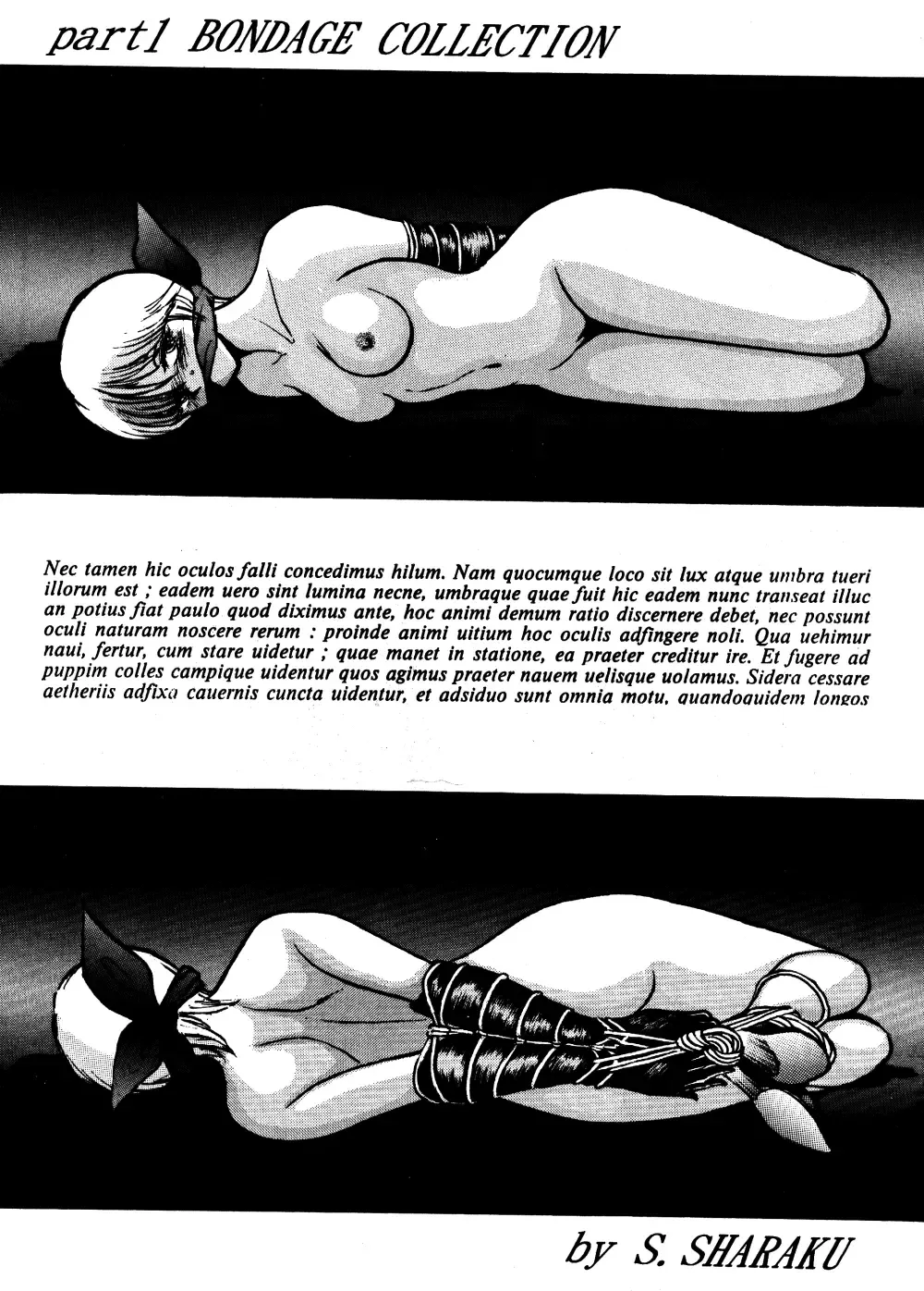 [Sharaku Seiya] SHARAKU SPECIAL Fhentai - Page 4