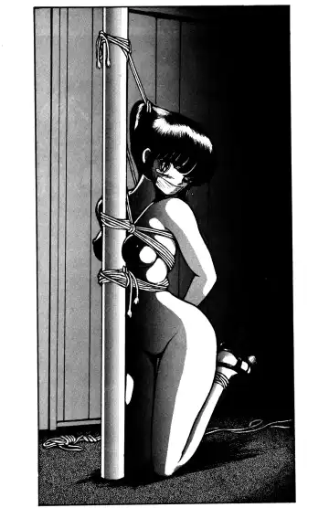 [Sharaku Seiya] SHARAKU SPECIAL Fhentai - Page 8