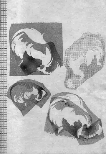 [Jinmu Hirohito] Toriaezu FF4 Fhentai - Page 30