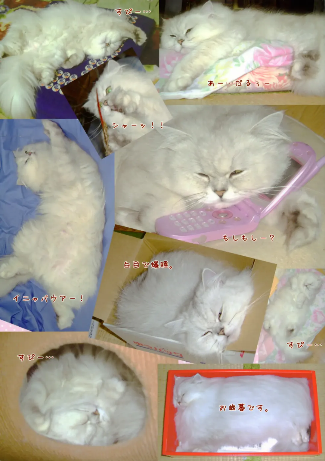 [Shigunyan] Artworks 2003-2007 Fhentai - Page 73