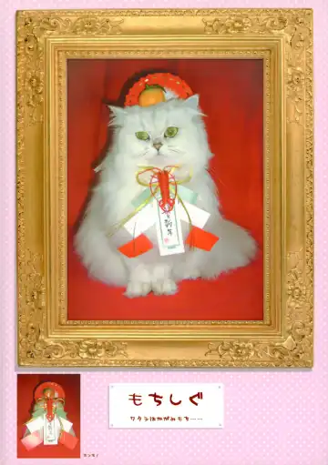 [Shigunyan] Artworks 2003-2007 Fhentai - Page 72