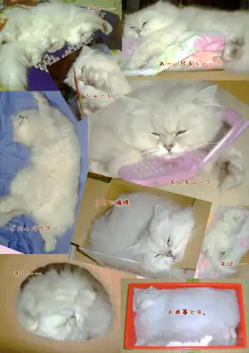 [Shigunyan] Artworks 2003-2007 Fhentai - Page 73