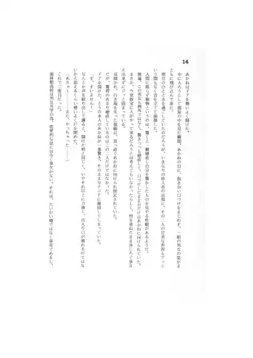 Biera Fhentai - Page 14