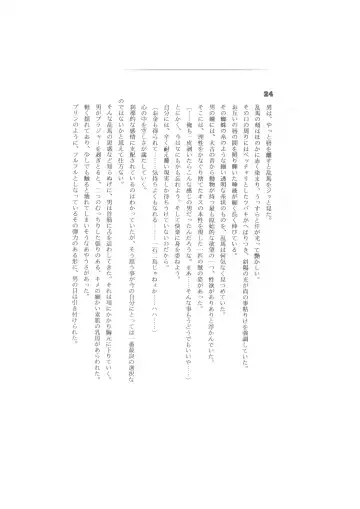 Biera Fhentai - Page 24