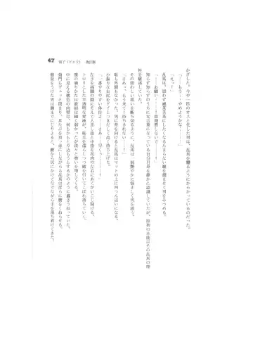 Biera Fhentai - Page 47