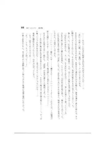 Biera Fhentai - Page 55