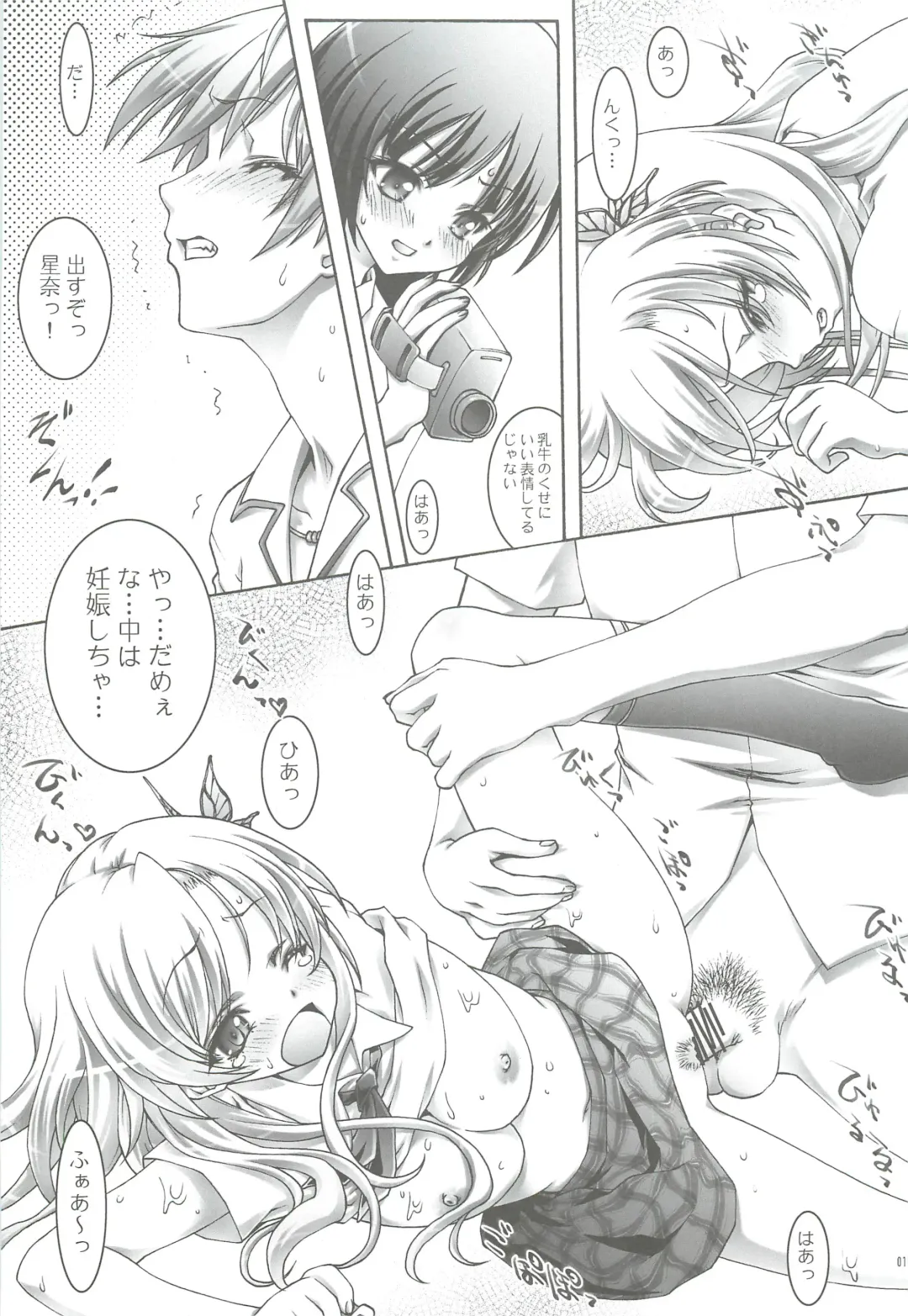 [Ichigo Mark] Haganai Sena Fhentai - Page 14