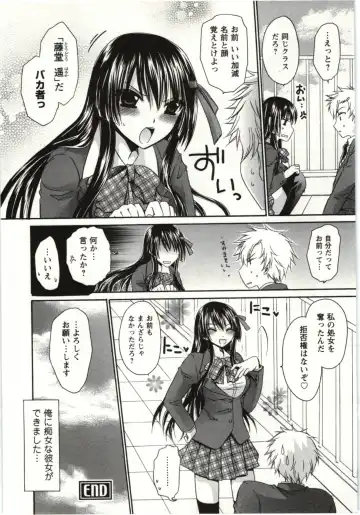 [Shinonome Ryu] Himegoto Fhentai - Page 23