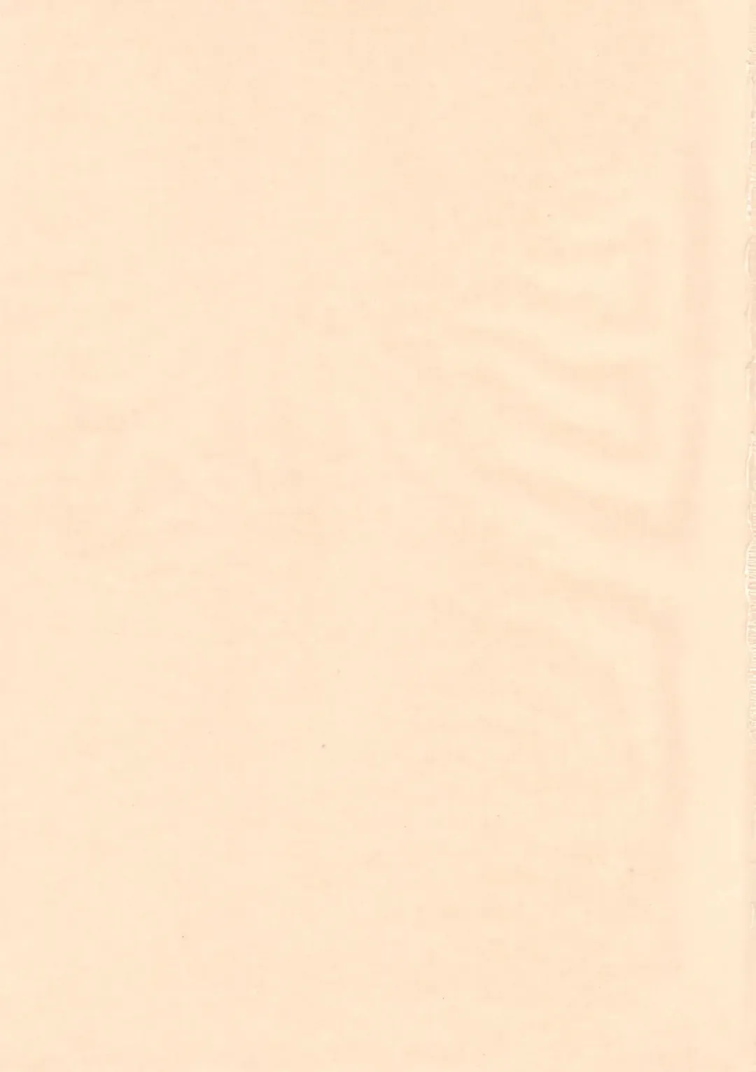 [Tk] Mahou Shoujo R 1 Fhentai - Page 3