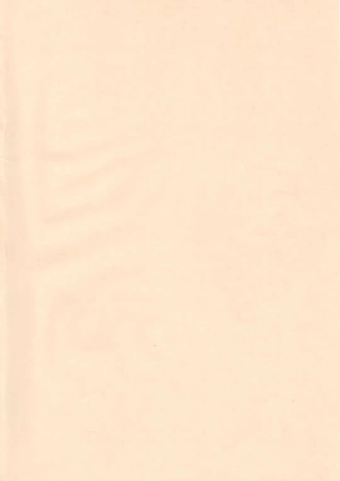 [Tk] Mahou Shoujo R 1 Fhentai - Page 4