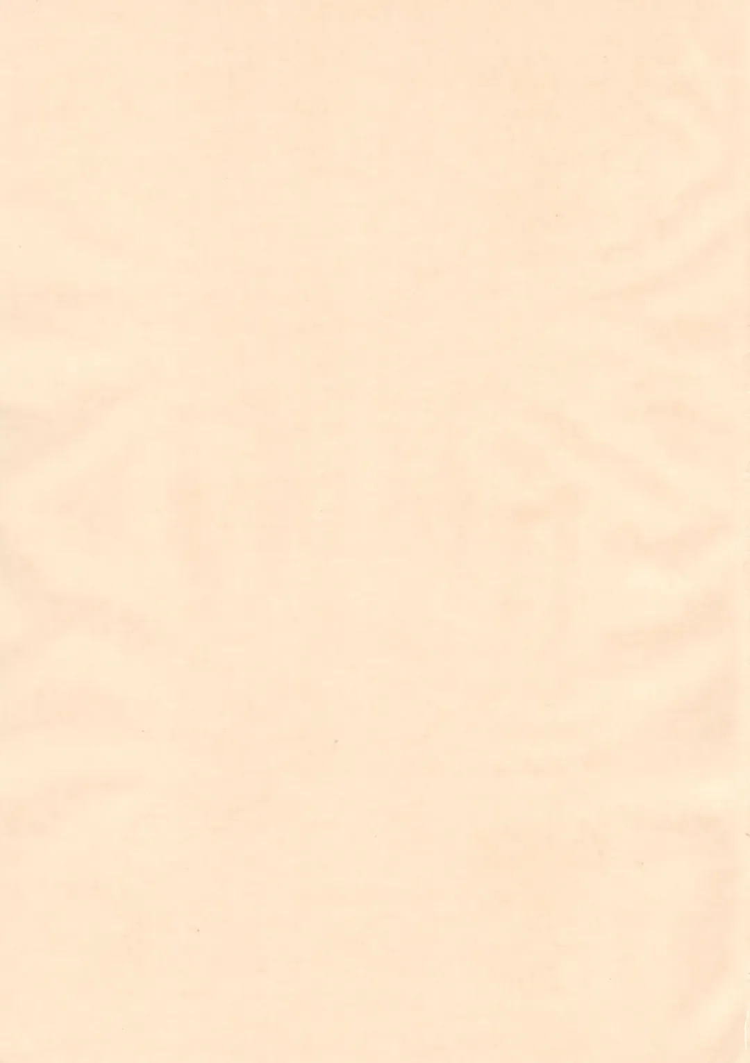 [Tk] Mahou Shoujo R 1 Fhentai - Page 59