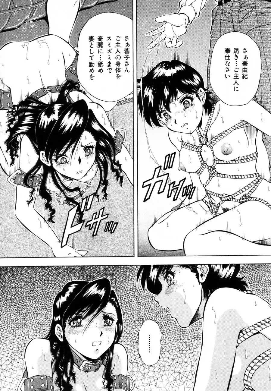 [Iio Tetsuaki] Rakuin Fhentai - Page 17