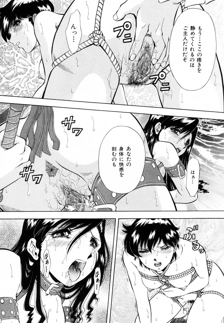 [Iio Tetsuaki] Rakuin Fhentai - Page 19