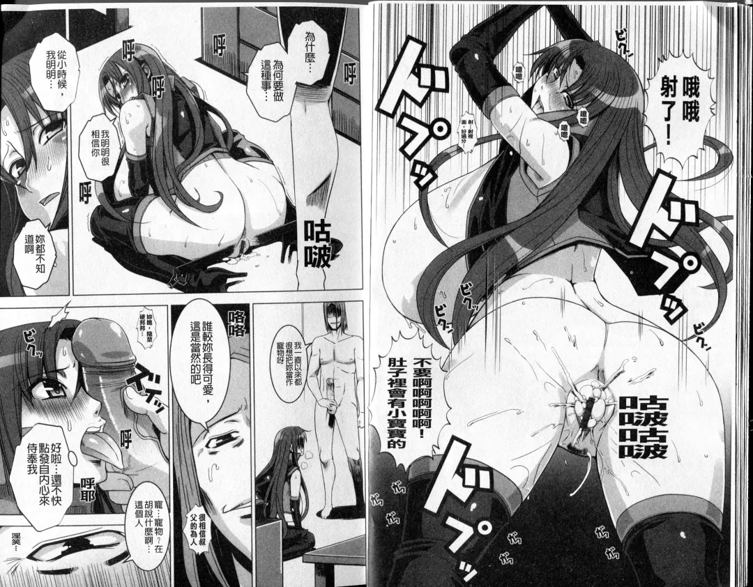 [Hg Chagawa] Mesuinu no Hibi | 牝犬的日子 Fhentai - Page 10