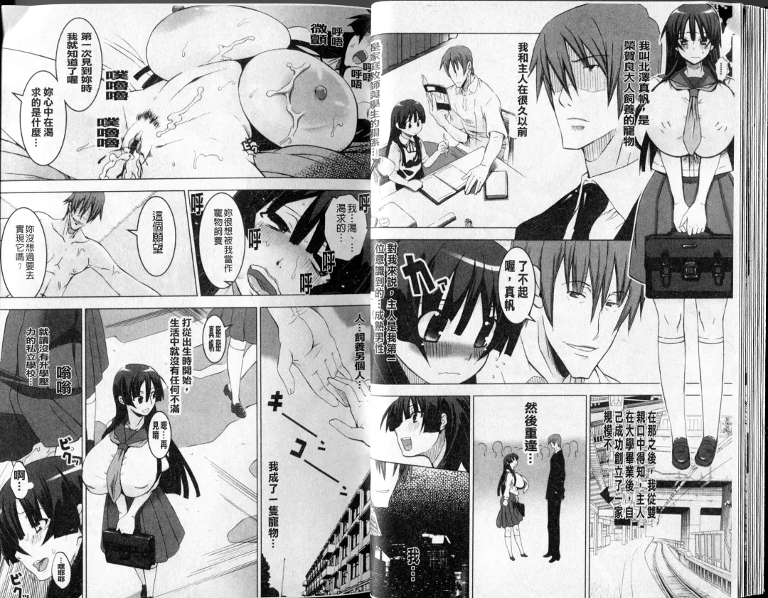 [Hg Chagawa] Mesuinu no Hibi | 牝犬的日子 Fhentai - Page 16