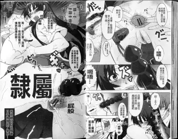 [Hg Chagawa] Mesuinu no Hibi | 牝犬的日子 Fhentai - Page 15