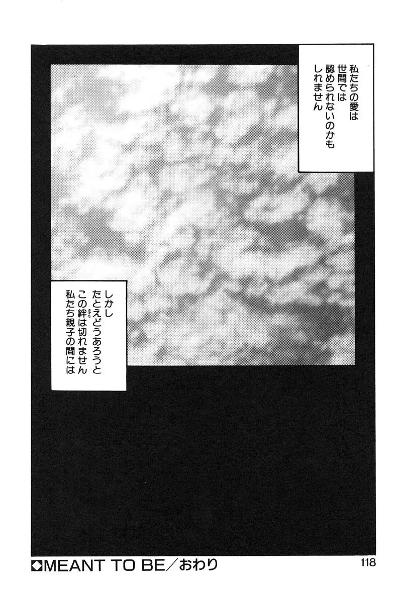 [Yoshida Kei] MEANT TO BE Fhentai - Page 119