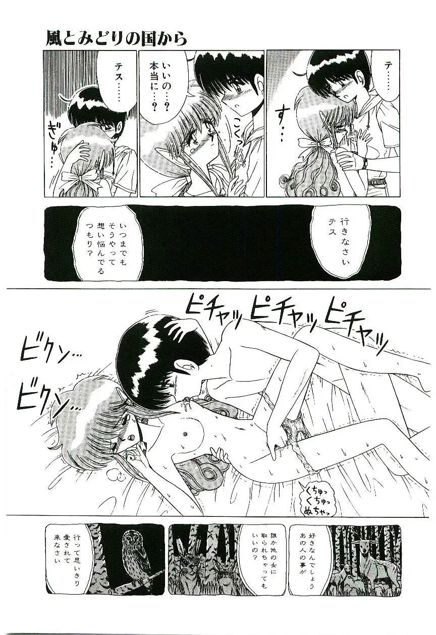 [Ruri Ruri] Kaze to Midori no Kuni kara Fhentai - Page 14