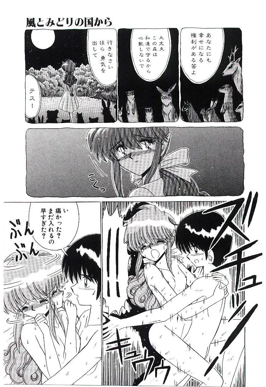 [Ruri Ruri] Kaze to Midori no Kuni kara Fhentai - Page 16