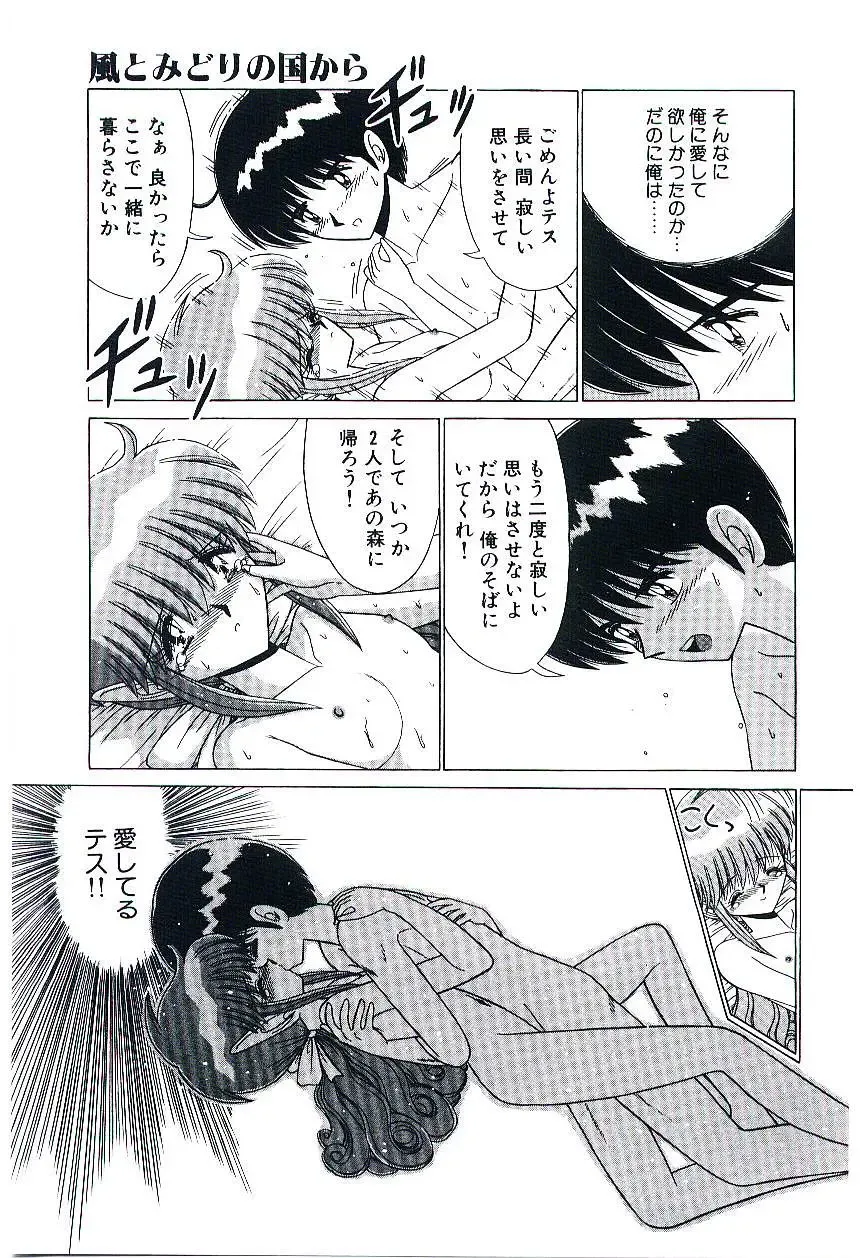 [Ruri Ruri] Kaze to Midori no Kuni kara Fhentai - Page 18