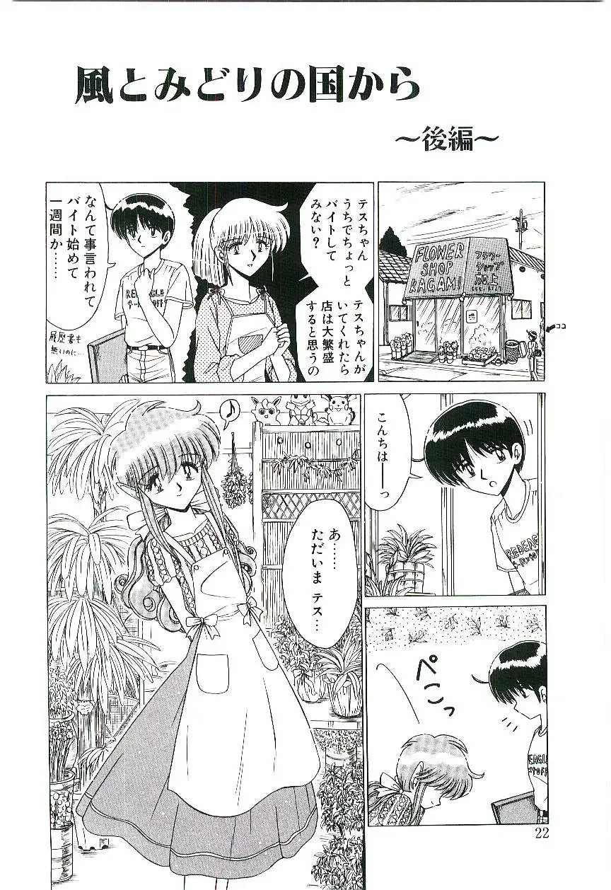 [Ruri Ruri] Kaze to Midori no Kuni kara Fhentai - Page 23