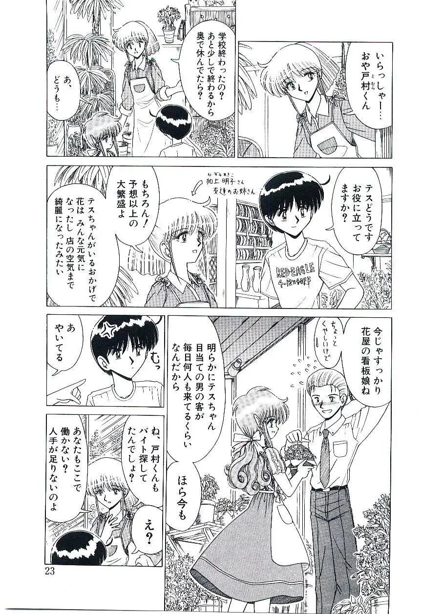 [Ruri Ruri] Kaze to Midori no Kuni kara Fhentai - Page 24