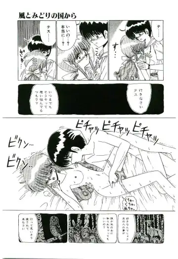 [Ruri Ruri] Kaze to Midori no Kuni kara Fhentai - Page 14