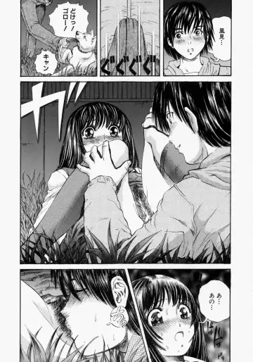 [Persona] Suki ni Shite - Do as your pleases! Fhentai - Page 13