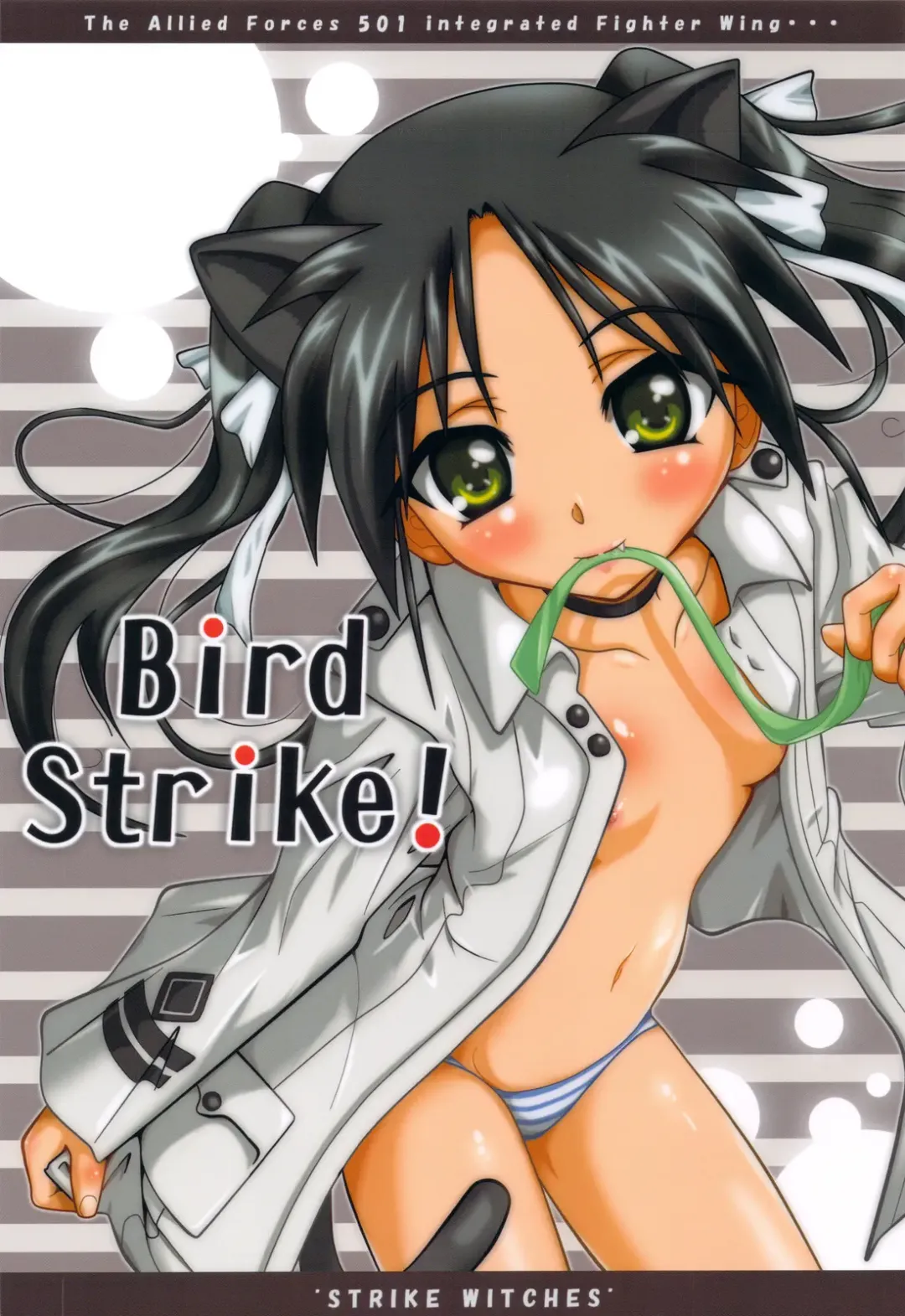 [Teira] Bird Strike! Fhentai - Page 1