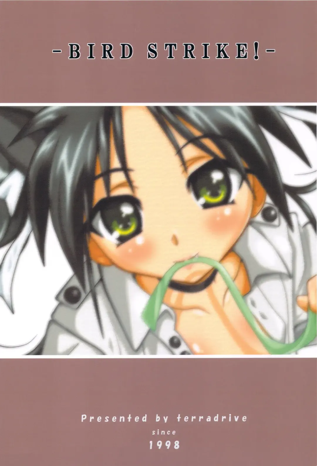 [Teira] Bird Strike! Fhentai - Page 28